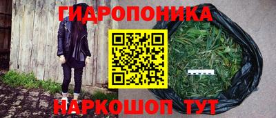 бошки Донецк