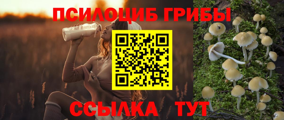 Псилоцибиновые грибы GOLDEN TEACHER Магадан